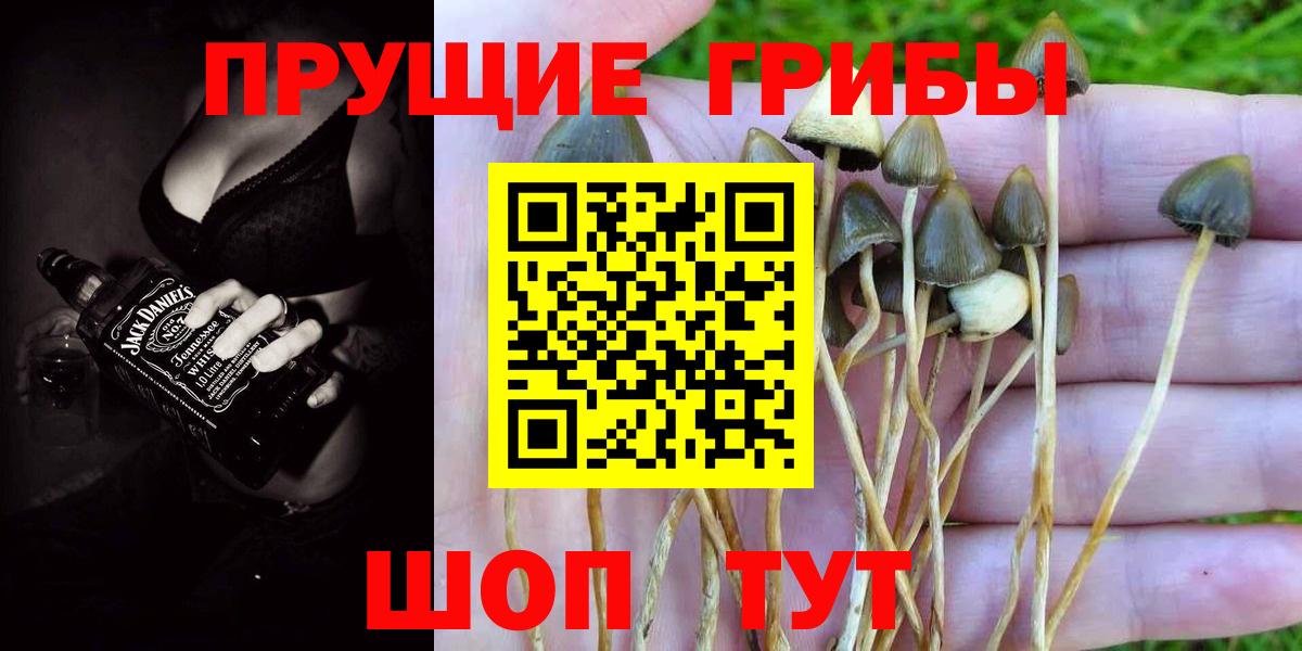Уфа  Галлюциногенные грибы ЛСД  Вход с VPN  Псилоцибиновые грибы мухоморы 